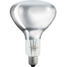 PHILIPS - Infrade Heating Lamp BR125/IR/250W/250V/Ε27/CL Clear Other Lamps - Fluorescent - Circular G10q